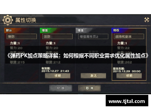 《弹药PK加点策略详解：如何根据不同职业需求优化属性加点》