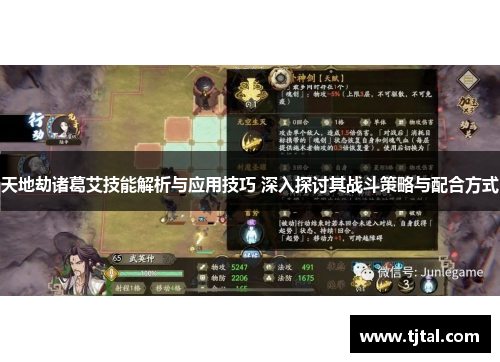天地劫诸葛艾技能解析与应用技巧 深入探讨其战斗策略与配合方式