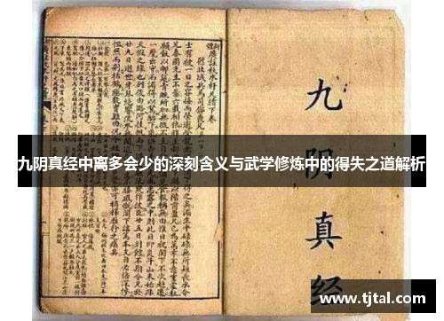 九阴真经中离多会少的深刻含义与武学修炼中的得失之道解析
